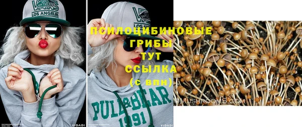 спиды Арсеньев