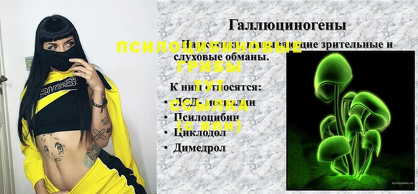 MESCALINE Аркадак